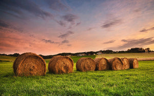 large round hay bale