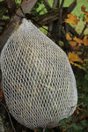 Standard Net
